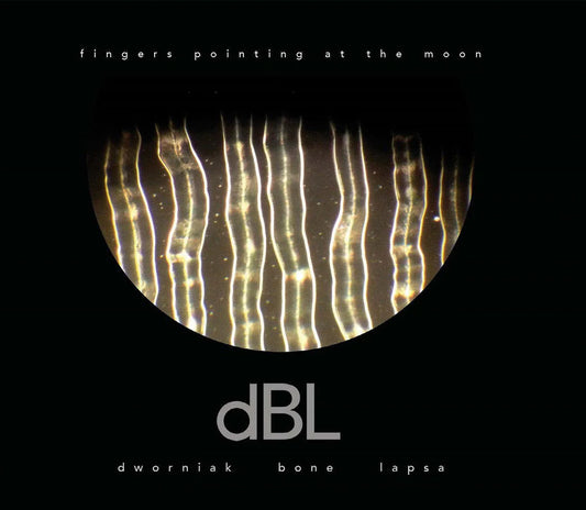 Dworniak Bone Lapsa - Fingers Pointing At The Moon (Vinyl) - Joco Records