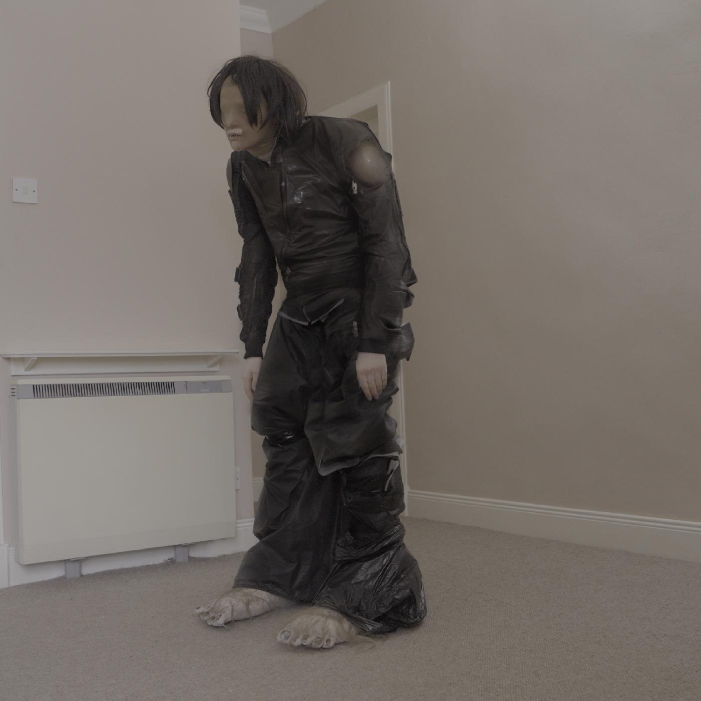 El Perro Del Mar - Big Anonymous (Vinyl) - Joco Records