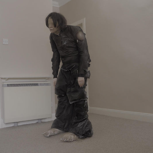 El Perro Del Mar - Big Anonymous (Vinyl) - Joco Records