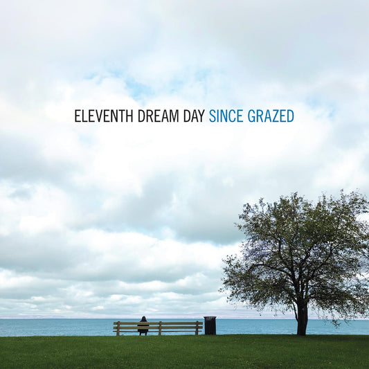 Eleventh Dream Day - Since Grazed (Vinyl) - Joco Records