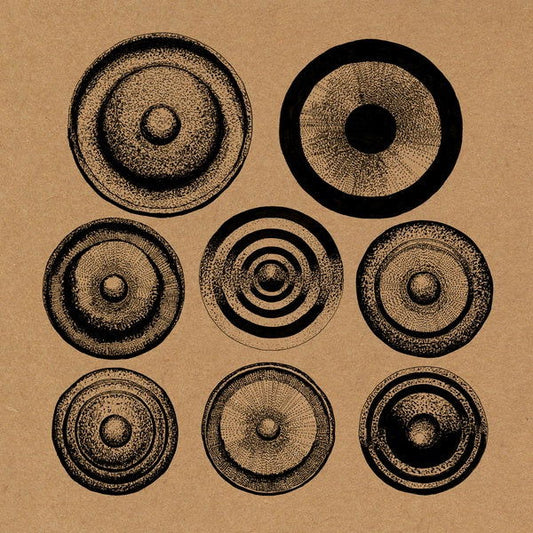 Ensemble Nist-Nah - Elders (Vinyl) - Joco Records