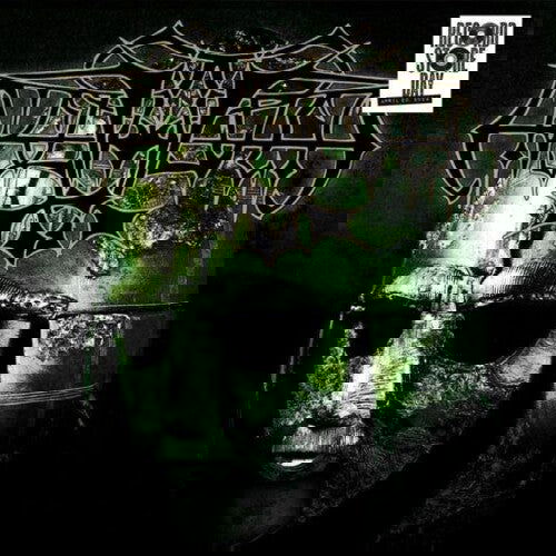 Enslaved - Vikingligr Veldi (RSD) (RSD Exclusive, Color Vinyl, Black, Green, Gatefold LP Jacket) (2 LP) - Joco Records