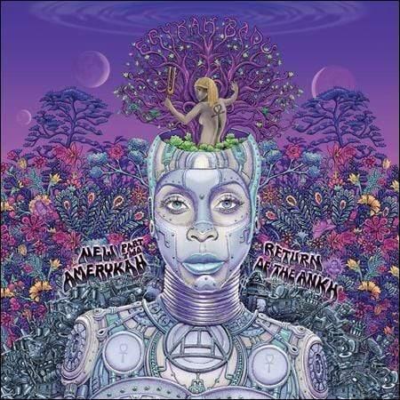 Erykah Badu - New Amerykah Part 2  (Vinyl) - Joco Records