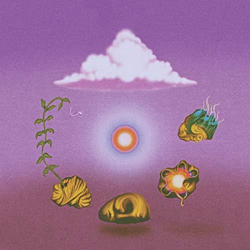 Evolfo - Site Out Of Mind (Vinyl) - Joco Records