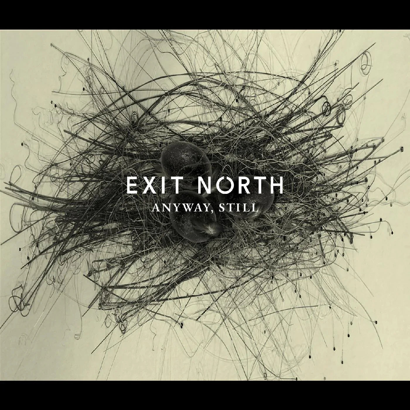 Exit North - Anyway, Still (Vinyl) - Joco Records