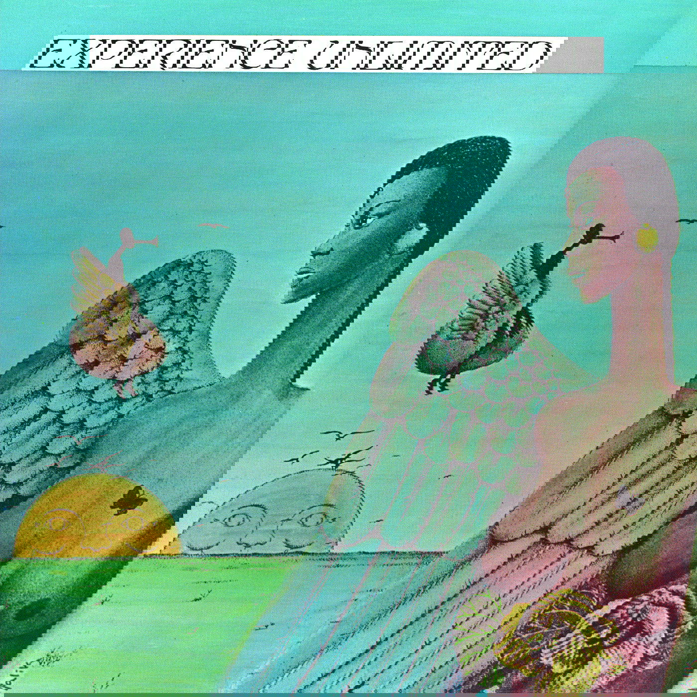 Experience Unlimited - Free Yourself (Vinyl) - Joco Records