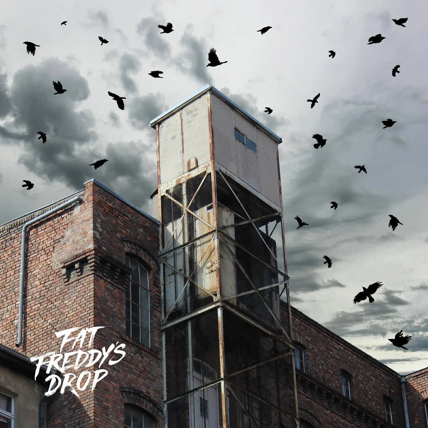 Fat Freddy's Drop - Blackbird Returns (LP) - Joco Records