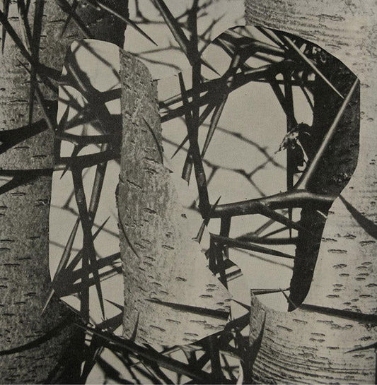 Femme - Chroma (Vinyl) - Joco Records