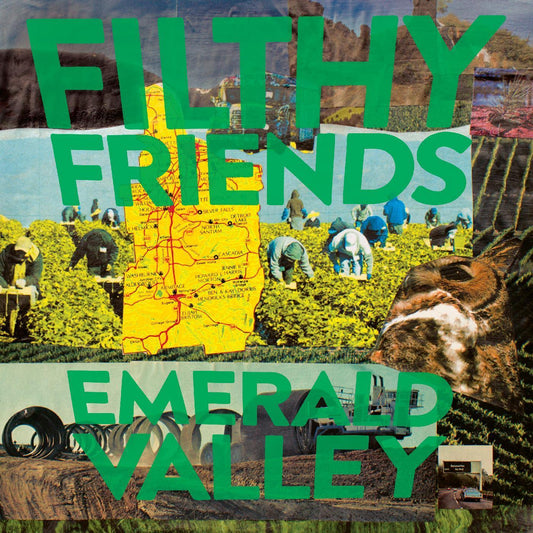 Filthy Friends - Emerald Valley (Vinyl) - Joco Records