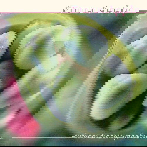 Fiona Apple - Extraordinary Machine (180 Gram Vinyl) (2 LP) - Joco Records