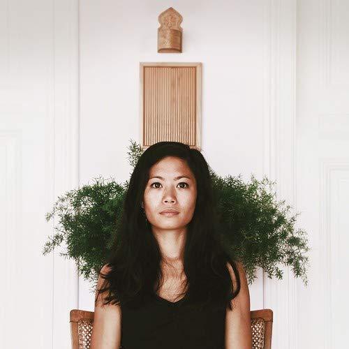 Flitz & Suppe - Ijin (Vinyl) - Joco Records