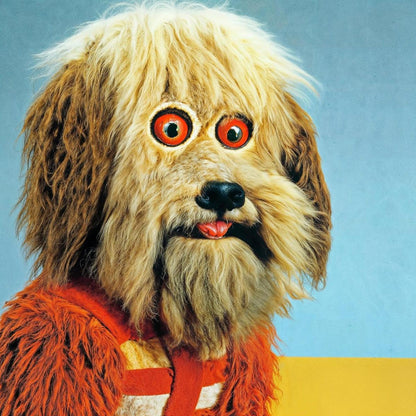 Four Year Strong - Analysis Paralysis (Indie Exclusive, Color Vinyl, Electric Blue & Deep Purple ) - Joco Records