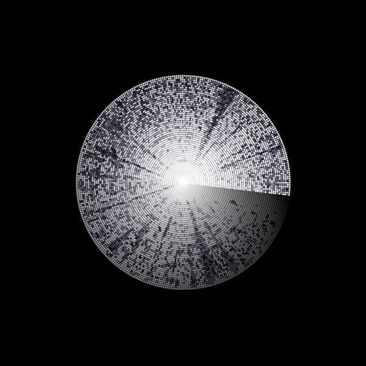 Franck & Matthew Bourne Vigroux - Radioland (Vinyl) - Joco Records