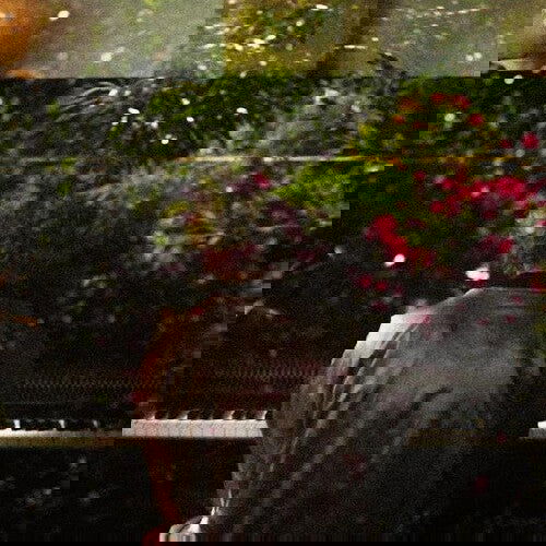 French Kiwi Juice - Just Piano (Gatefold LP Jacket) - Joco Records