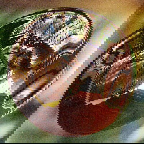 French Kiwi Juice - V I N C E N T (Import) (2 LP) - Joco Records