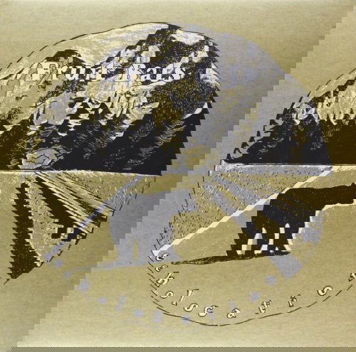 Fruit Bats - Echolation (Vinyl) - Joco Records