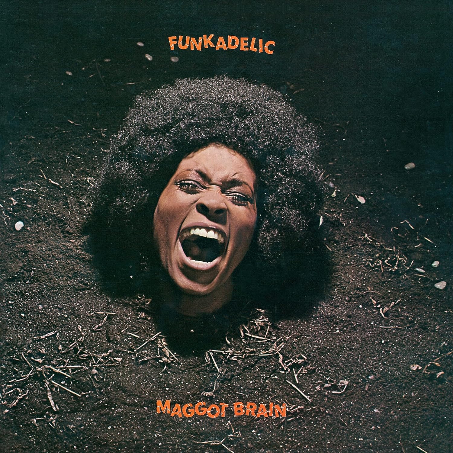 Funkadelic - Maggot Brain: 50th Anniversary Edition (2 LP) - Joco Records
