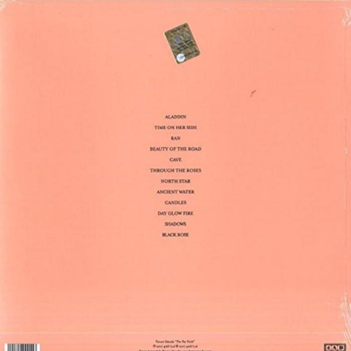 Future Islands - The Far Field (LP) - Joco Records