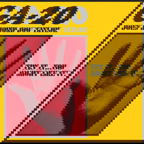 GA-20 - Does Hound Dog Taylor  (Vinyl) - Joco Records