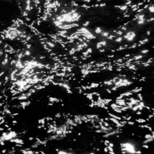 GROUPER - AIA: Dream Loss  (Vinyl) - Joco Records