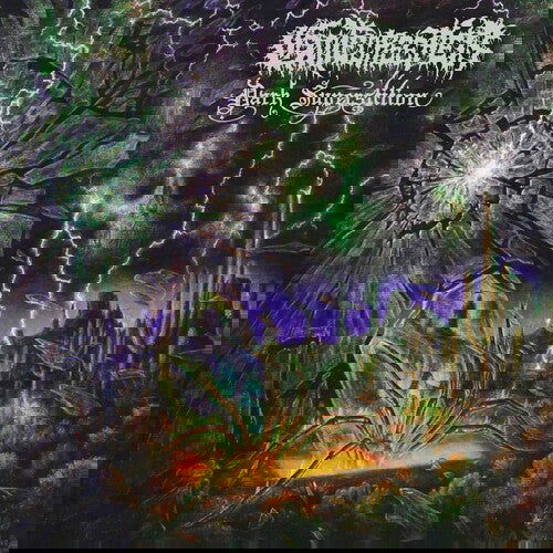 Gatecreeper - Dark Superstition (Clear Black & Purple Splatter Vinyl) - Joco Records