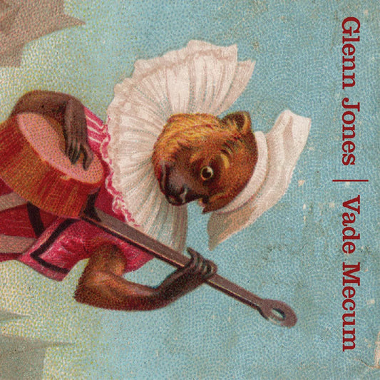 Glenn Jones - Vade Mecum (Vinyl) - Joco Records