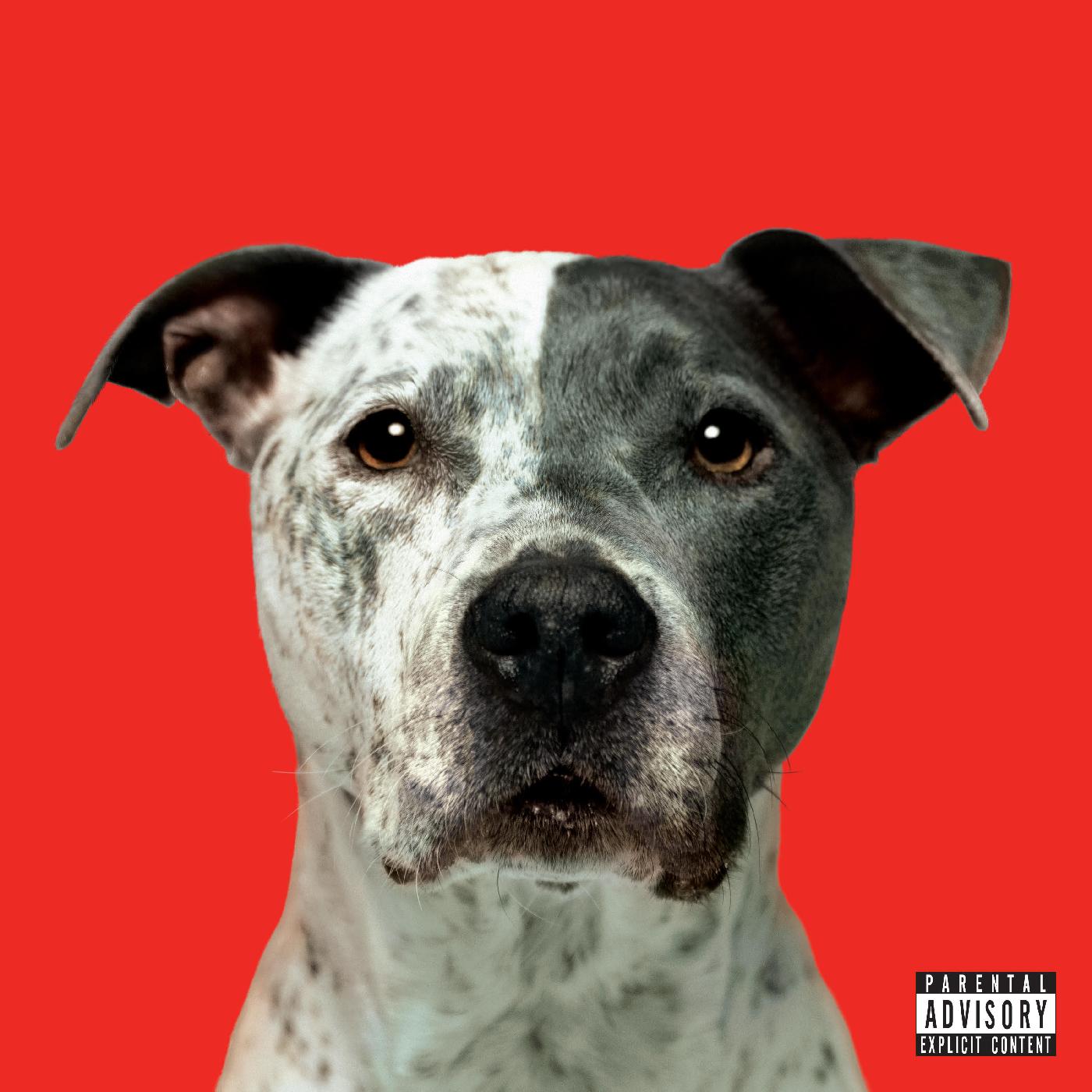 Hanni El Khatib - Flight (Vinyl) - Joco Records