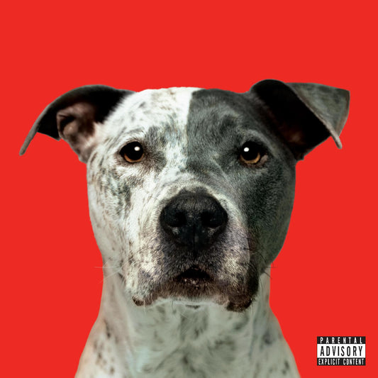 Hanni El Khatib - Flight (Vinyl) - Joco Records