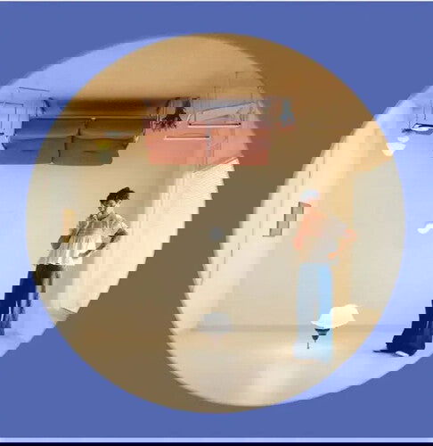 Harry Styles - Harry's House (Limited Edition, Picture Disc Vinyl) (Import) - Joco Records