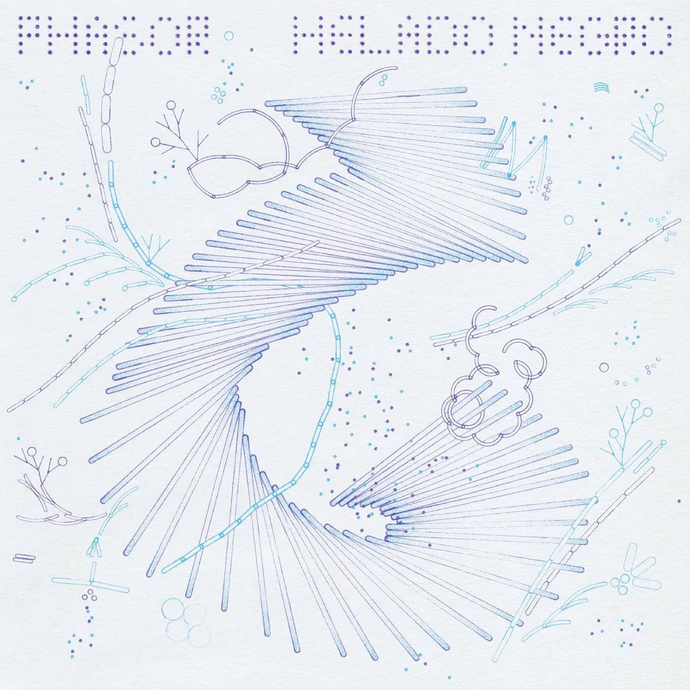 Helado Negro - Phasor (Vinyl) - Joco Records