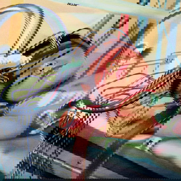 Heldon - Agneta Nilsson (Heldon Iv) (Vinyl) - Joco Records