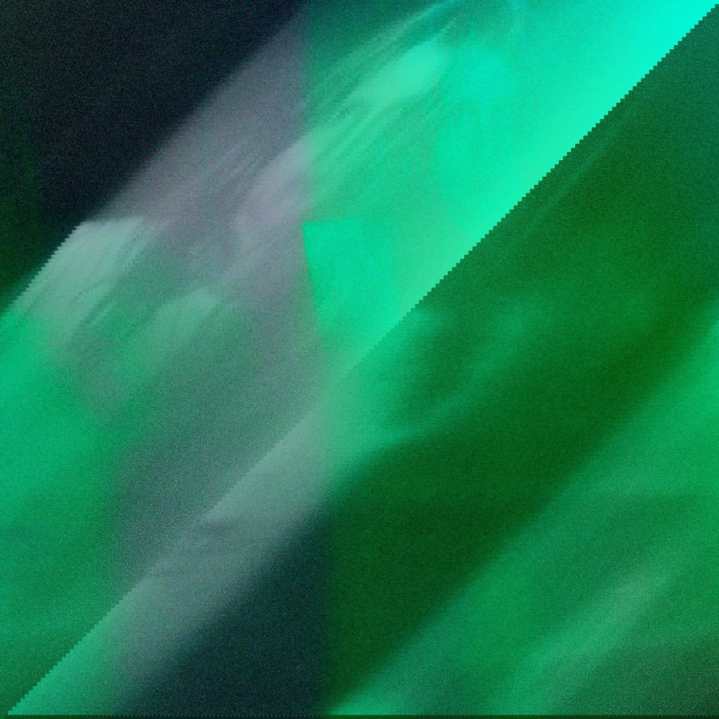 Helena Hauff - Qualm (Vinyl) - Joco Records