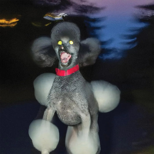 Hit Bargain - A Dog A Deer A Seal (Vinyl) - Joco Records