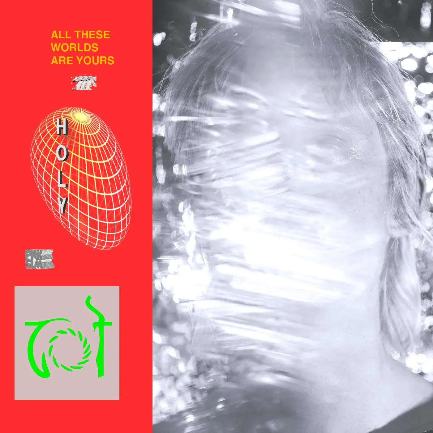Holy - All These Worlds Are Yours (Vinyl) - Joco Records