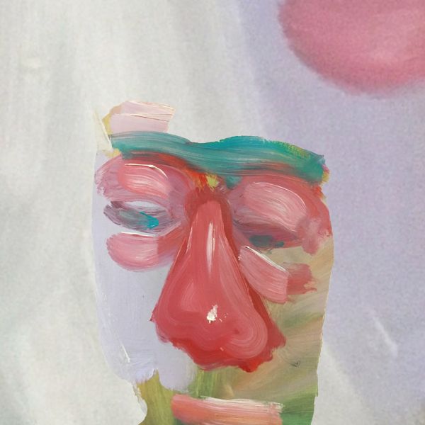 Hovvdy - Taster (COLOR VINYL) - Joco Records