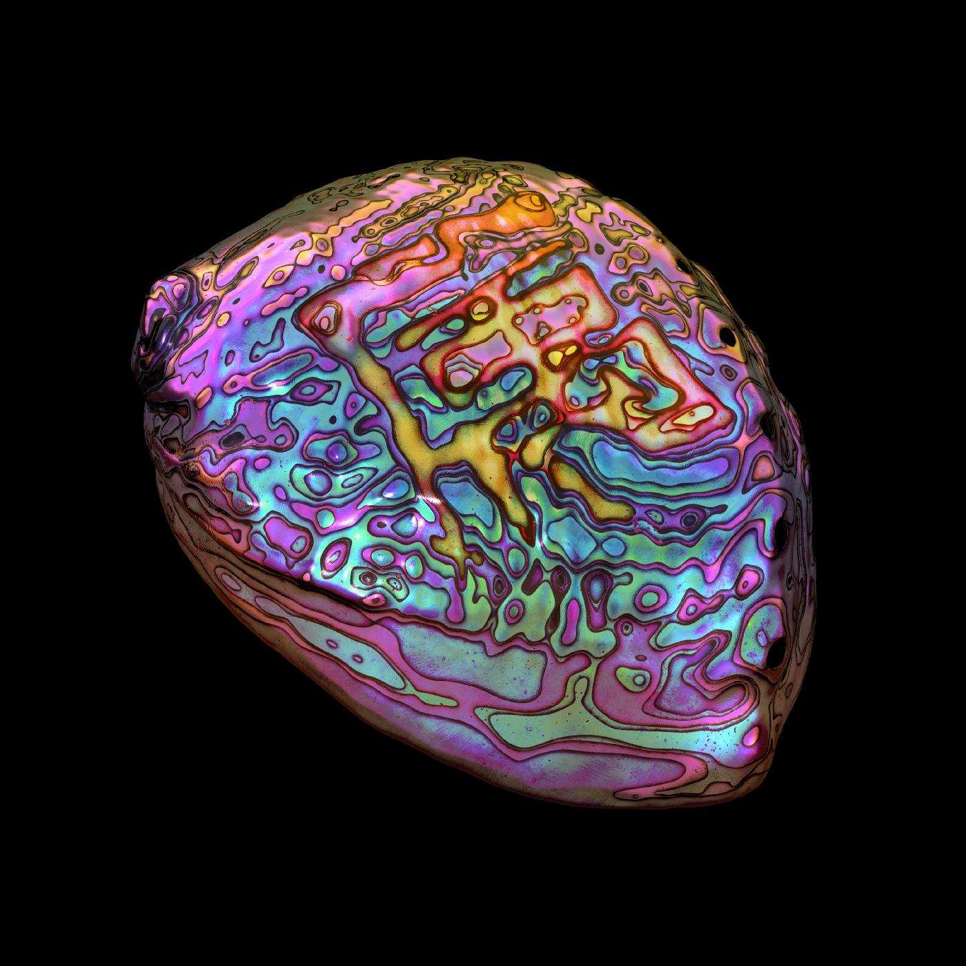 Ian Chang - ^ Belonging (White Vinyl) - Joco Records