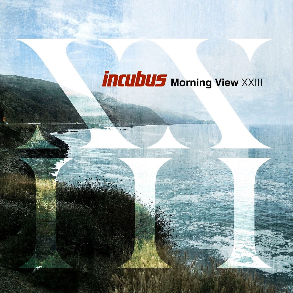 Incubus - Morning View XXIII (2 LP) - Joco Records