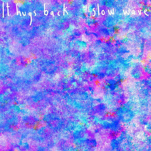 It Hugs Back - Slow Wave (Vinyl) - Joco Records