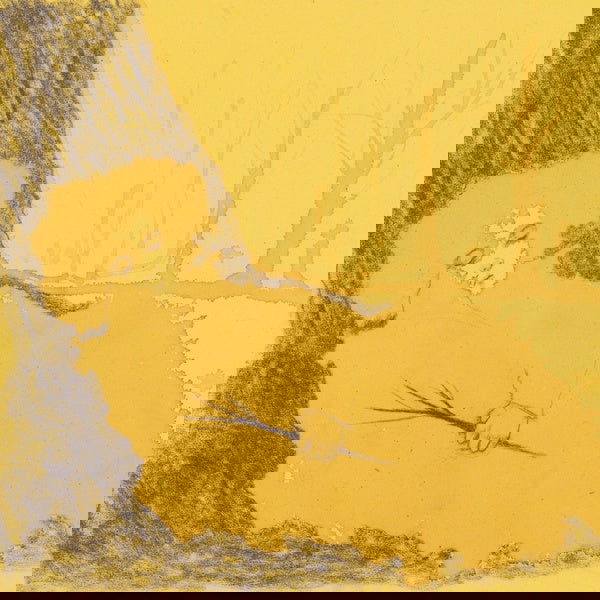 James Rushford - The Body's Night (Vinyl) - Joco Records