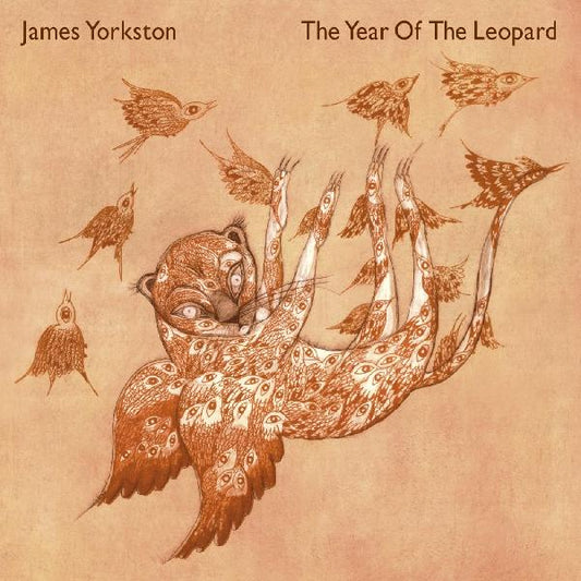 James Yorkston - The Year Of The Leopard (Vinyl) - Joco Records