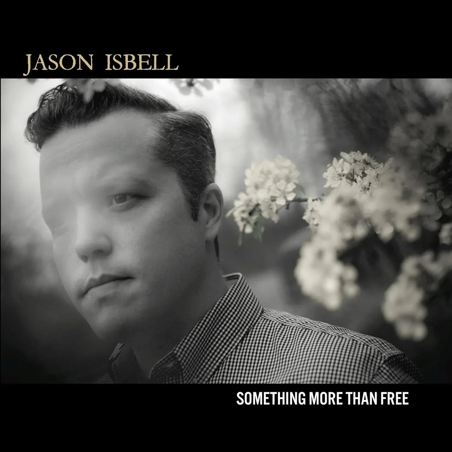 Jason Isbell - Something More Than Free (LP) - Joco Records