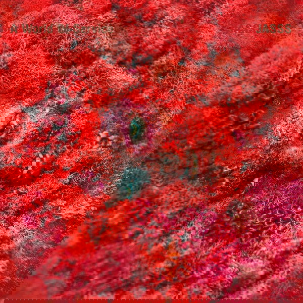 Jasss - A World Of Service (Vinyl) - Joco Records