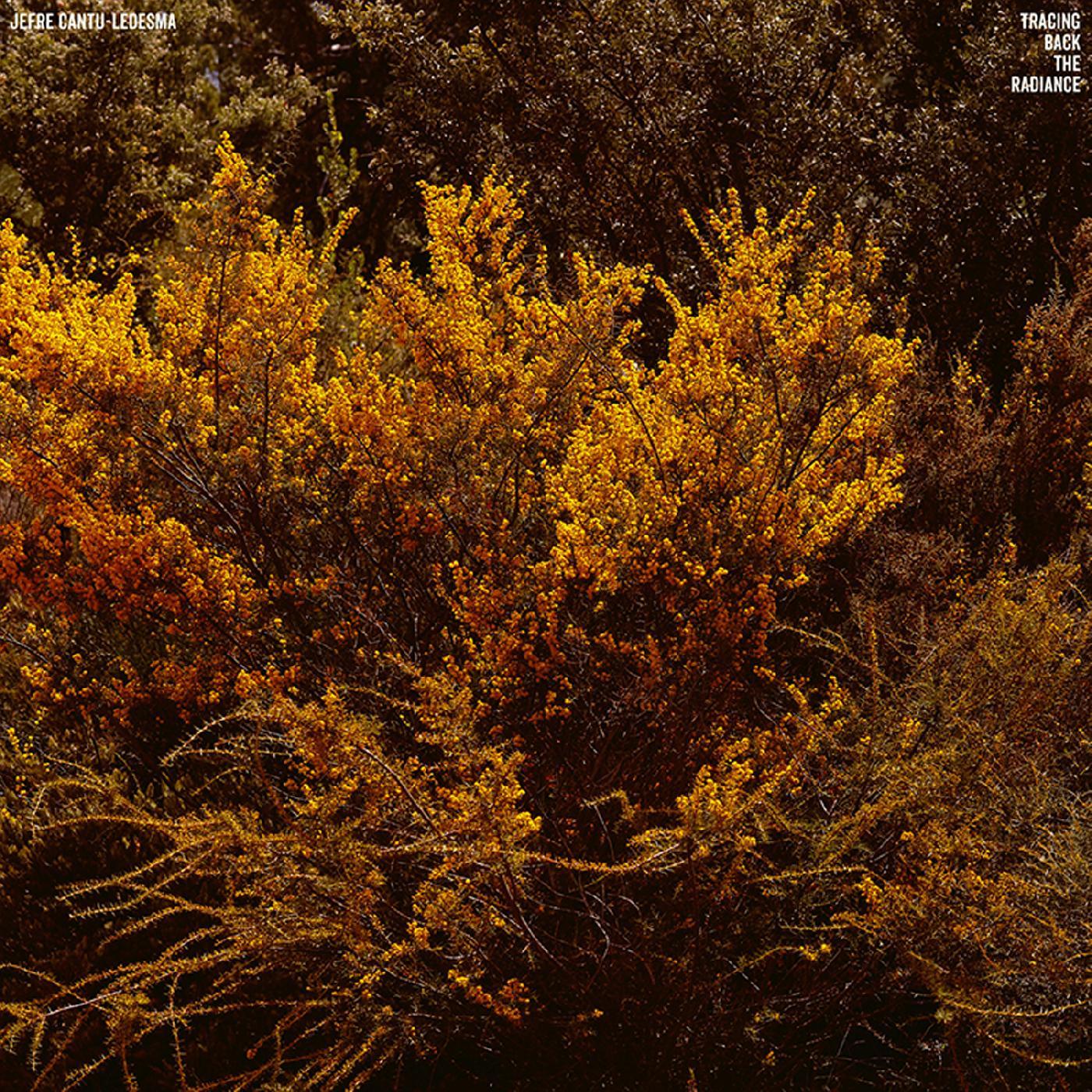 Jefre Cantu-Ledesma - Tracing Back The Radiance (Vinyl) - Joco Records