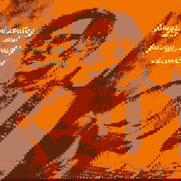 Jeremy Harmer - Idiosyncratics And Swallows Wings (Vinyl) - Joco Records