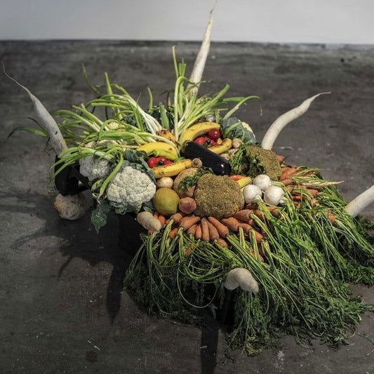 Jesse Osborne-Lanthier - Left My Brain @ Can Paixano (La Xampanyeria) Ost (Vinyl) - Joco Records