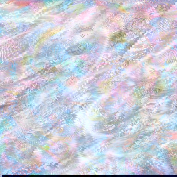 Jill Fraser - Earthly Pleasures (LP) - Joco Records