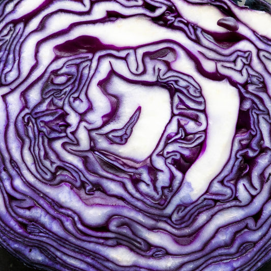 Jo Yonderly - Greatest Hits 1.0 (LP) - Joco Records