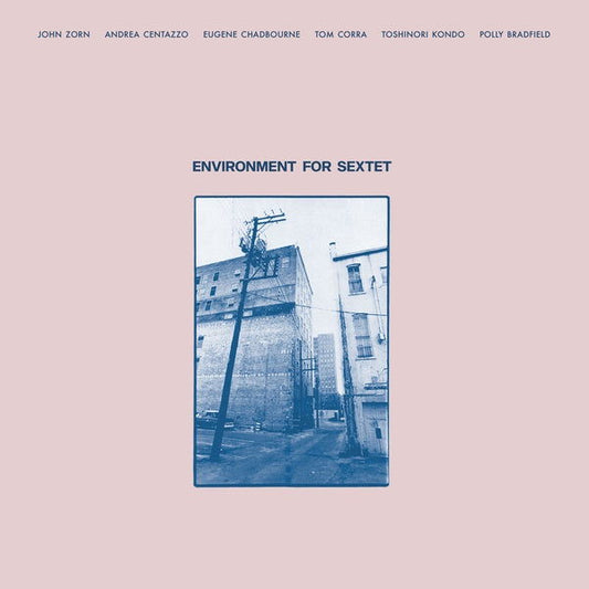 John Zorn/Andrea Centazzo/Eugene Chadbourne/Tom Co - Environment For Sextet (Vinyl) - Joco Records