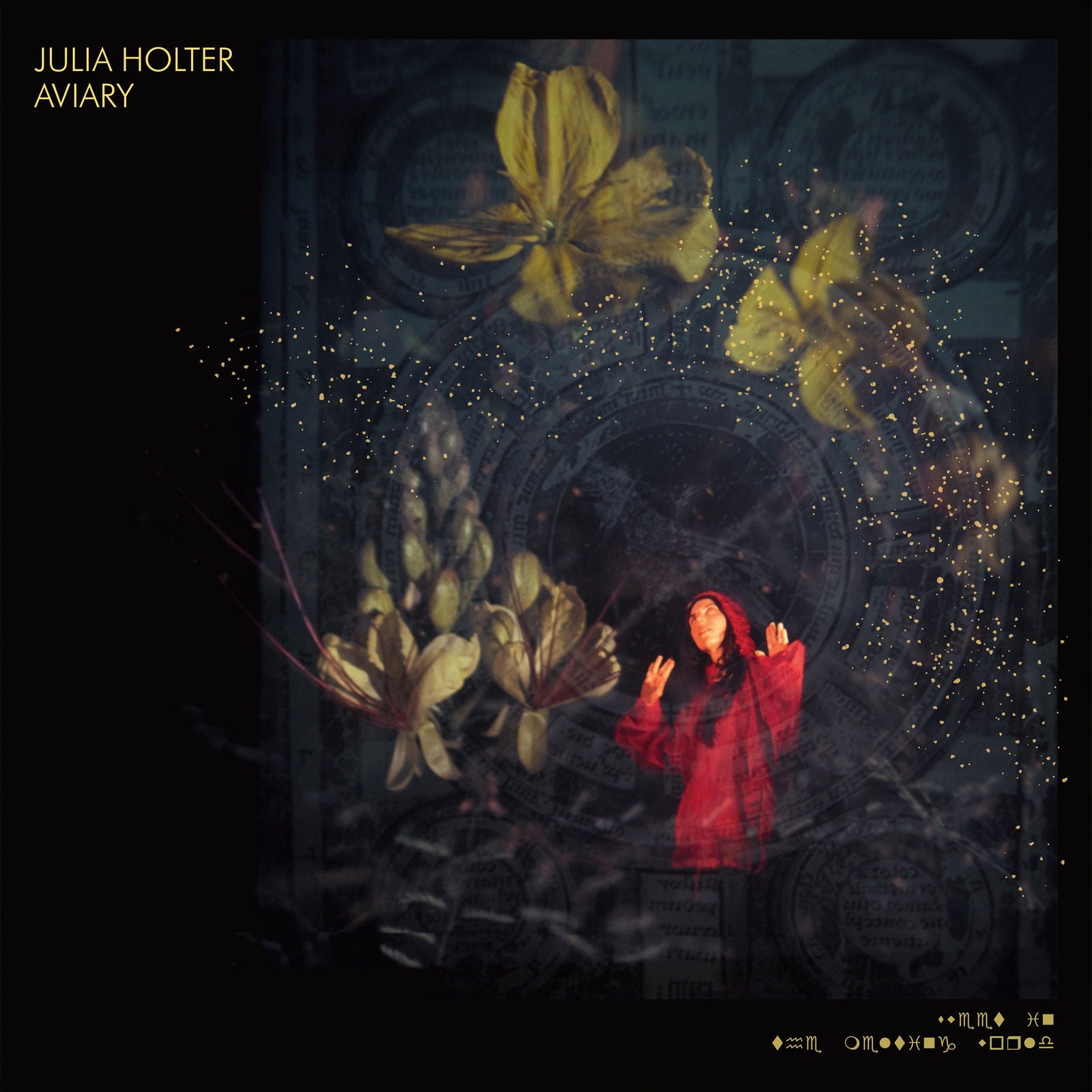 Julia Holter - Aviary (Vinyl) - Joco Records