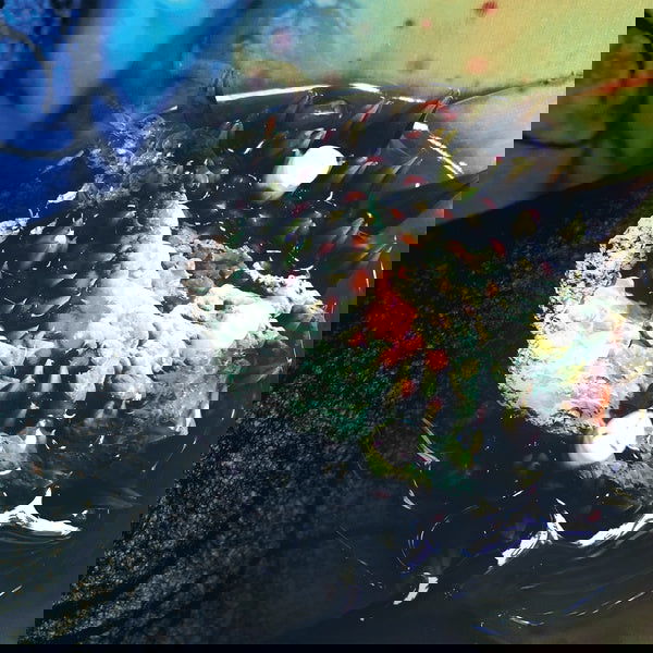 Julia Reidy - In Real Life (Vinyl) - Joco Records